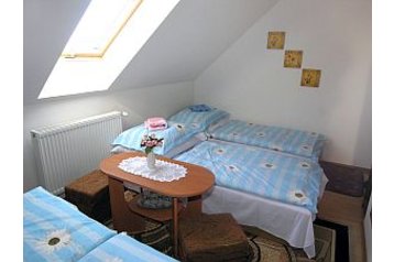 Slovacia Penzión Veľká Lomnica, Interiorul